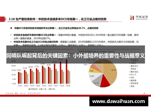 同曦队崛起背后的关键因素：小外援培养的重要性与战略意义