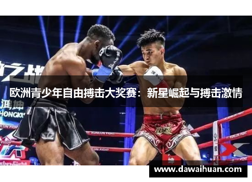 欧洲青少年自由搏击大奖赛：新星崛起与搏击激情