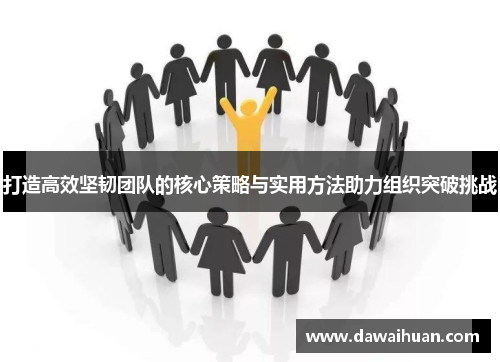 打造高效坚韧团队的核心策略与实用方法助力组织突破挑战